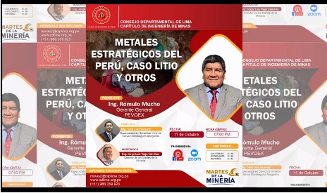 Metales Estratégicos del Perú, Caso Litio y Otros