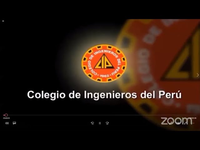 Conferencia Virtual: Distorsiones e inequidad en el precio de la electricidad en el Perú: Causas y posibles soluciones.