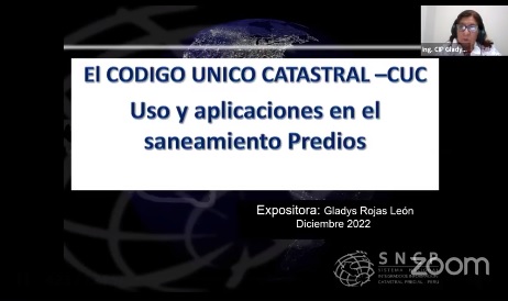 El código único catastral, usos y aplicaciones en el saneamiento de los predios