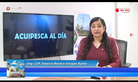 Programa de Voluntariado Técnico en Acuicultura