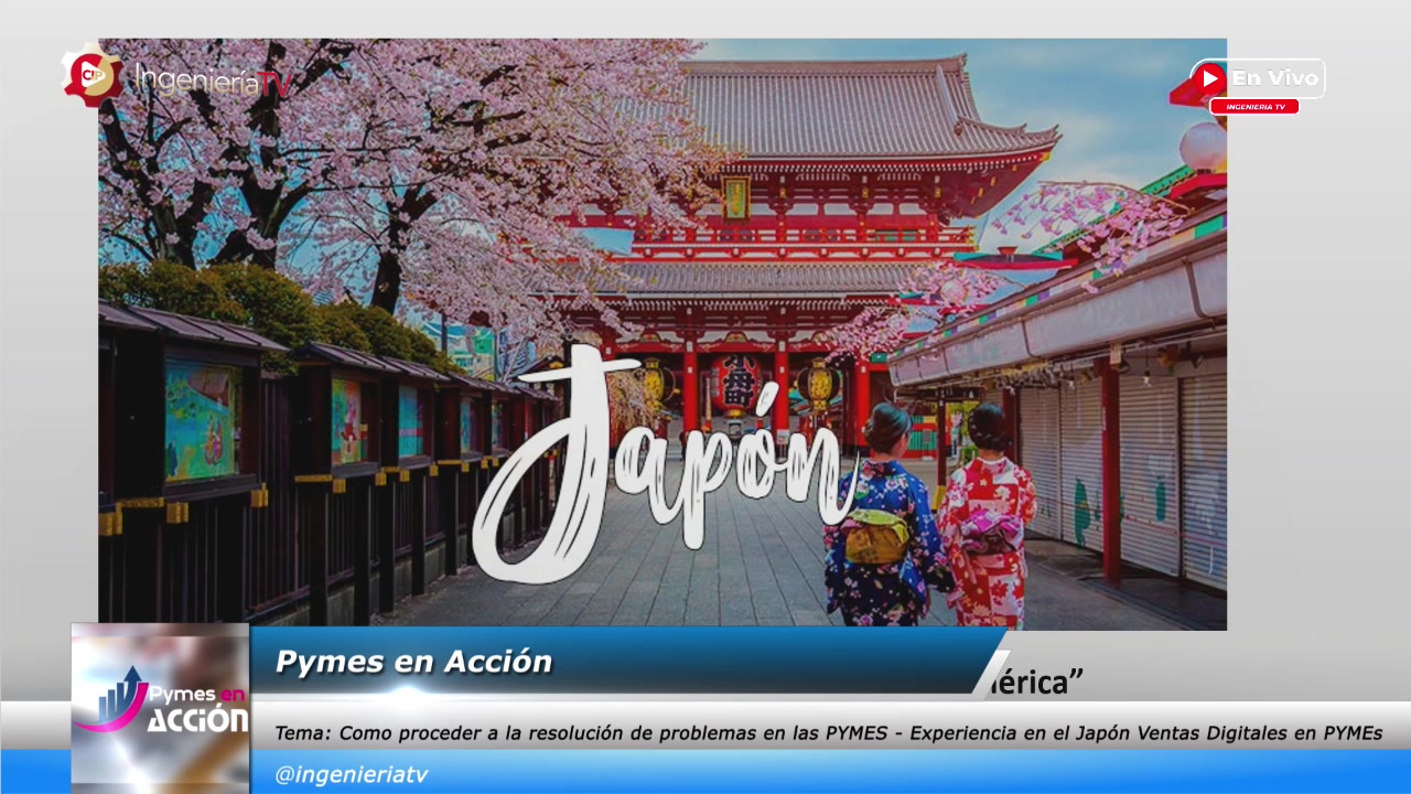 Como proceder a la resolución de problemas en las PYMES – Experiencia en el Japón Ventas Digitales en PYMEs