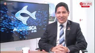 Situación del comercio de peces ornamentales amazónicos