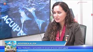 Problemática y oportunidades de mercado del recurso calamar gigante