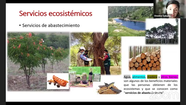 II Encuentro Anual de Conferencias Forestales