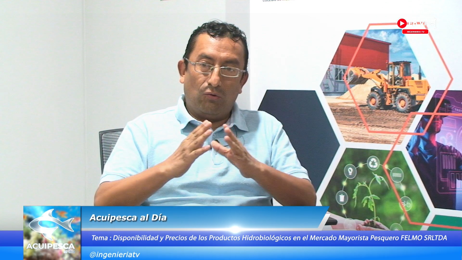 Oferta de productos hidrobiológicos en el mercado mayorista pesquero FELMO SRLTDA