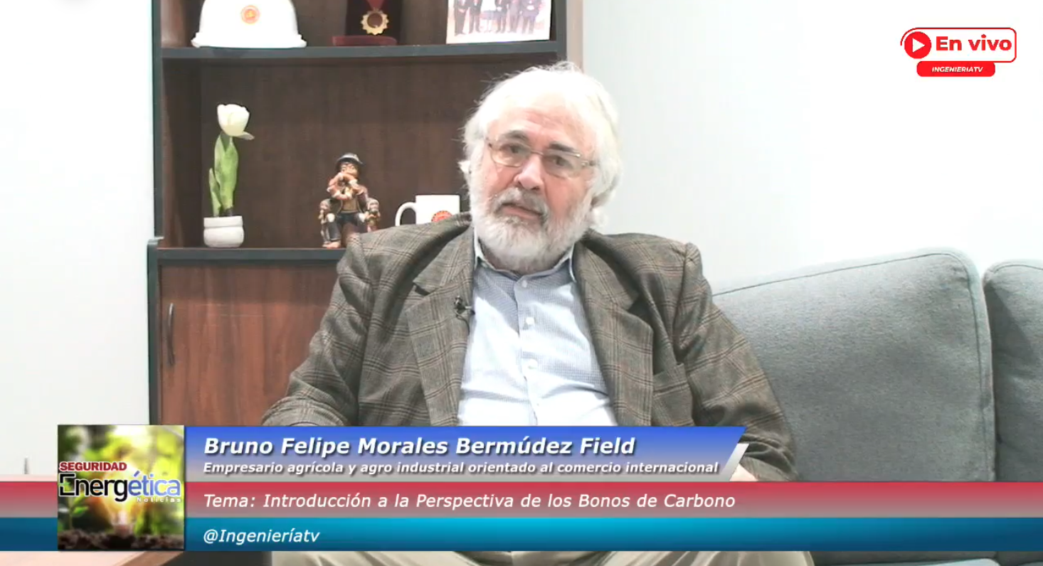 Seguridad Energética: Introducción a la Perspectiva de los Bonos de Carbono